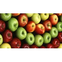 Яблоки свежие оптом,экспорт