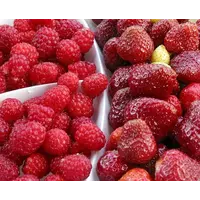 Клубника, малина свежая (ягоды) оптом,экспорт