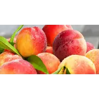 Фрукты оптом от производителя: персики, сливы, яблоки.